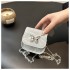 ins mini small bag female 2024 new summer bow chain niche texture hundred shoulder crossbody bag