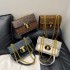 Bag female 2025 new fashion small square bag French niche senior sense of printing hundred chain shoulder crossbody bag