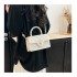 Ladies bag 2025 new popular small square bag spring fashion simple shoulder bag handheld crossbody small bag exquisite