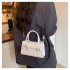 Fashion shoulder bag trend 2025 spring new bag female foreign simple pure color personality crossbody small square bag