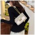 Bag female 2025 new fashion small square bag French niche senior sense of printing hundred chain shoulder crossbody bag