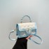 Ladies bag 2025 new popular small square bag spring fashion simple shoulder bag handheld crossbody small bag exquisite